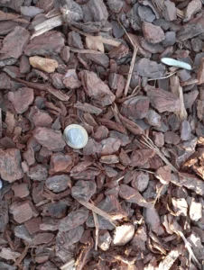 Ecorces de pin