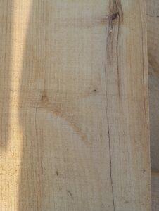 Traverse Chataignier