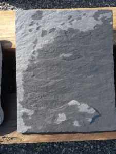 pas japonais ardoise