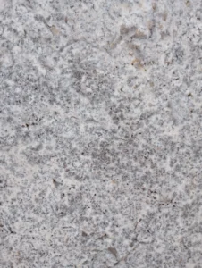 dallage et margelle travertin Silver