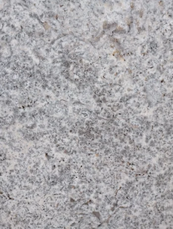 dallage et margelle travertin Silver