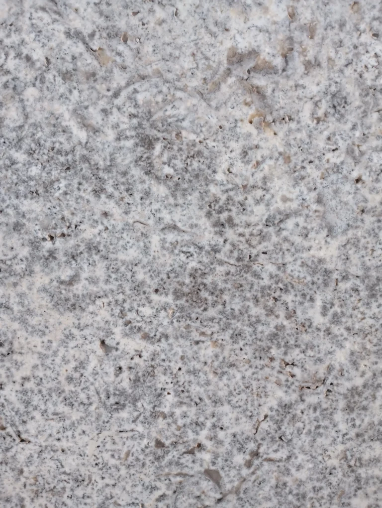 dallage et margelle travertin Silver