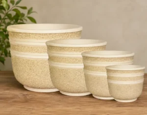 Pot n° 169, 171, 173, 175