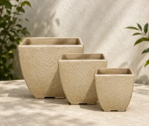Pot n° 231 , 233 , 235
