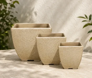 Pot n° 231 , 233 , 235