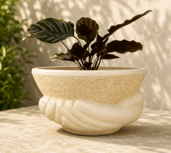 Pot n° 77