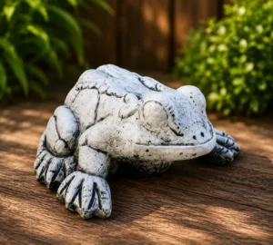 grenouille vieilli n° 795